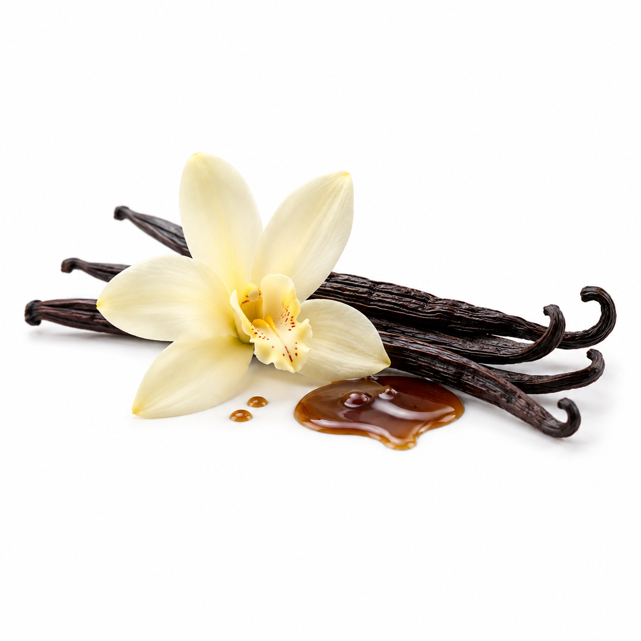 Vanilla