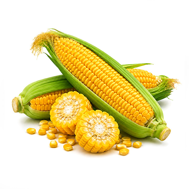 Fresh Corn